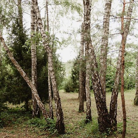 Berzu Namelis - Birch Cabin Kuciunai Luaran gambar