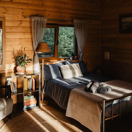 Berzu Namelis - Birch Cabin Kuciunai Luaran gambar