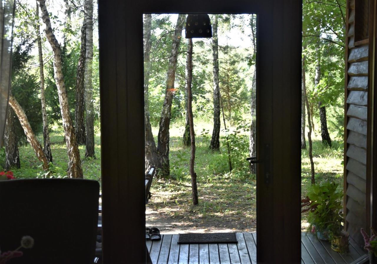 Berzu Namelis - Birch Cabin Kuciunai Luaran gambar