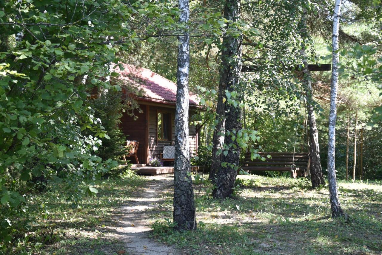 Berzu Namelis - Birch Cabin Kuciunai Luaran gambar