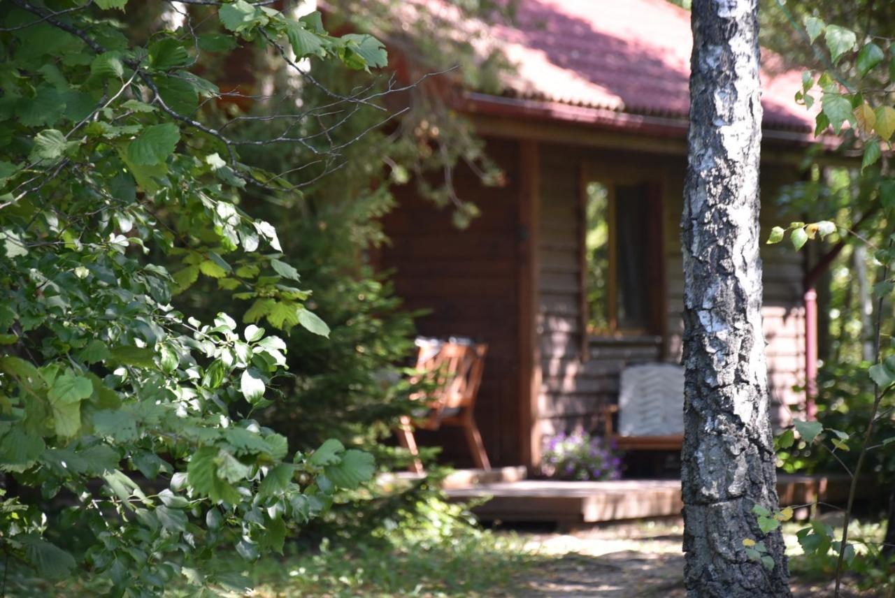 Berzu Namelis - Birch Cabin Kuciunai Luaran gambar