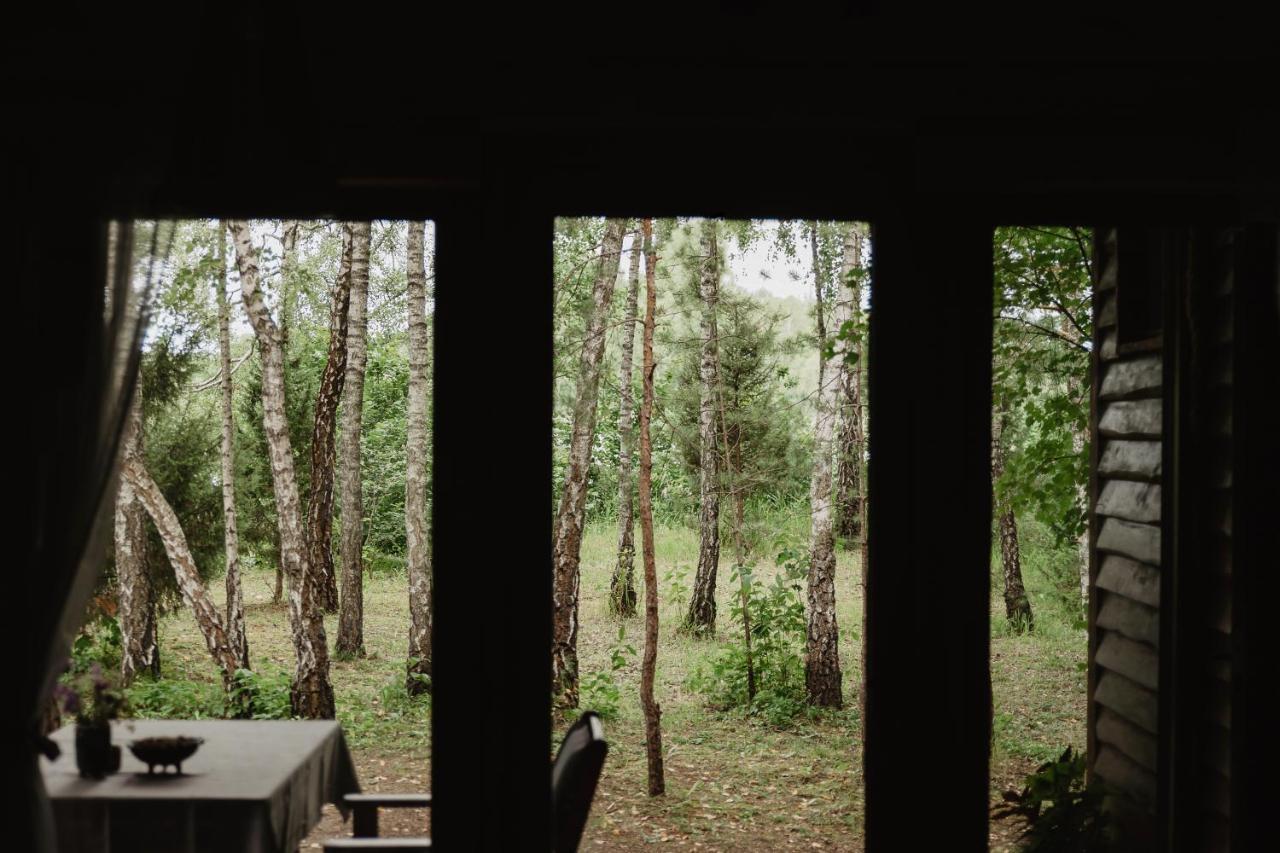 Berzu Namelis - Birch Cabin Kuciunai Luaran gambar
