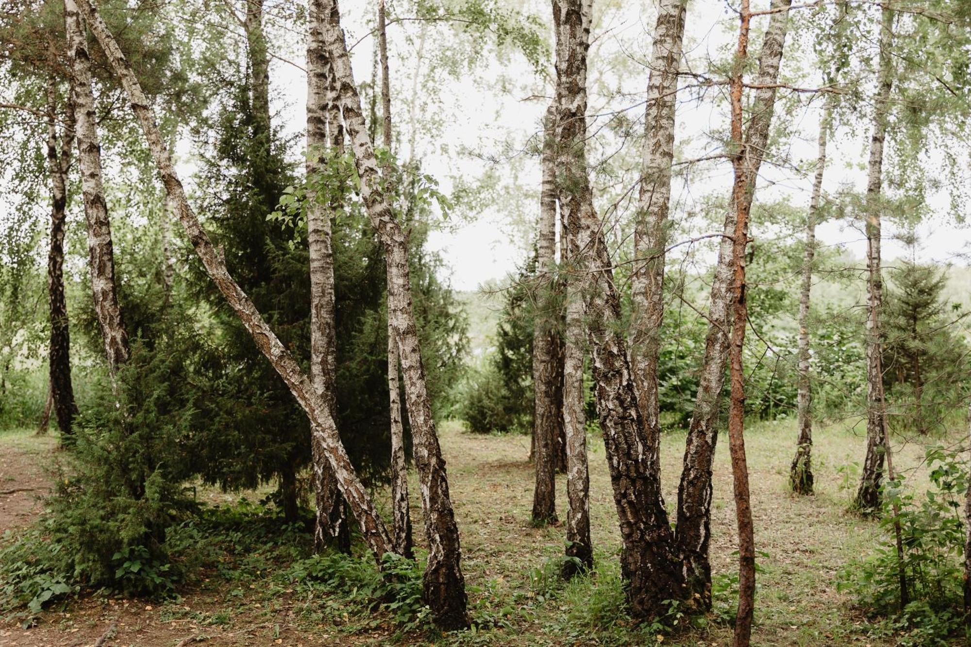 Berzu Namelis - Birch Cabin Kuciunai Luaran gambar