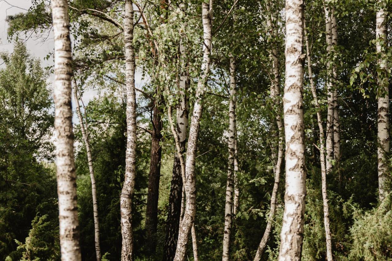 Berzu Namelis - Birch Cabin Kuciunai Luaran gambar
