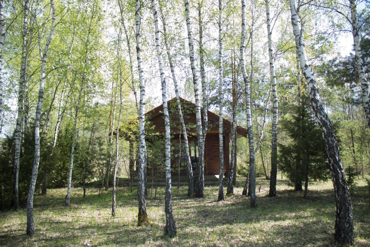 Berzu Namelis - Birch Cabin Kuciunai Luaran gambar